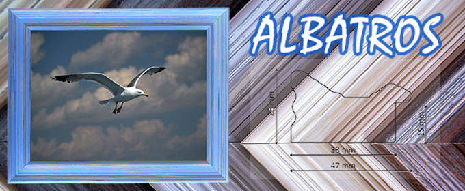 Albatros képkeret
